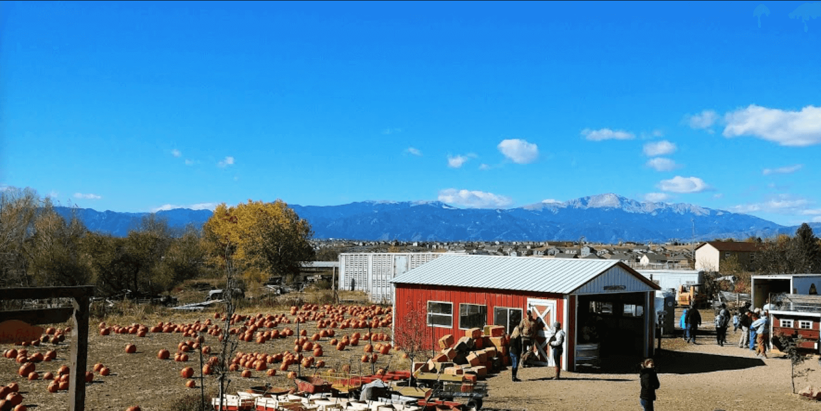 Pumpkin Patches In Colorado Springs The Reichert Mortgage Team