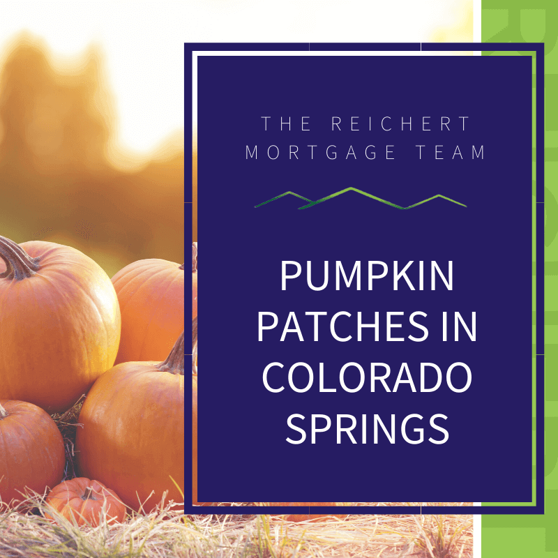 Reichert Mortgage blog image post with title 'Pumpkin patches in Colorado Springs' and images of pumpkins during sunset