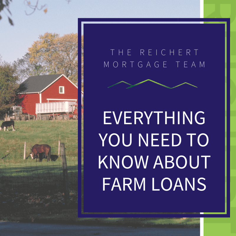 A picture of green farm land with cattle and a red barn in the distance with blue overlay to the right of the picture that reads, "Everything You Need to Know About Farm Loans".
