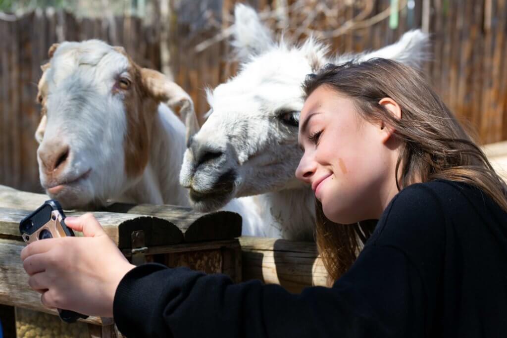 Brown-haired woman taking selfie with goat and alpaca.